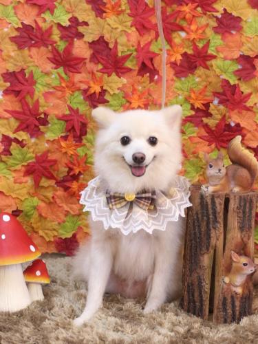 20241103しゅんくん